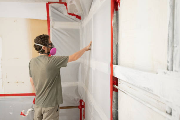 Best Mold Damage Restoration  in Teaticket, MA