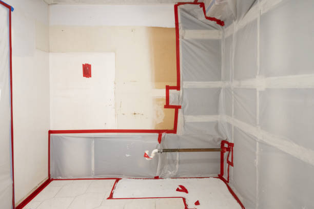 Best Black Mold Removal  in Teaticket, MA