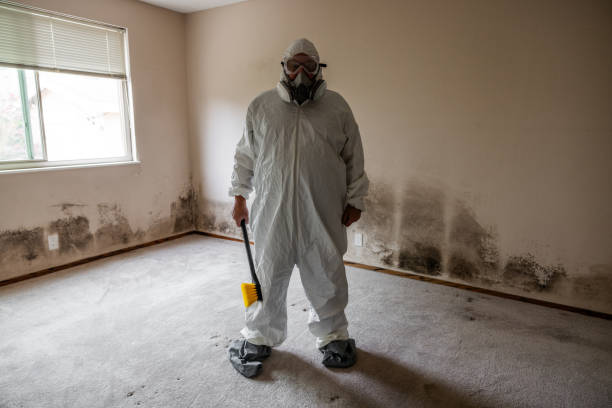 Best Mold Remediation for Healthcare Facilities  in Teaticket, MA